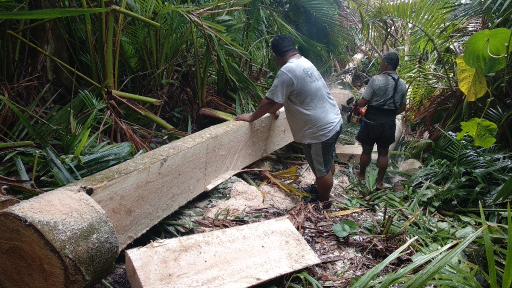 The bottom of the boat was determined and the top was cut off.