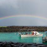 Full rainbow cast over two boats in a harbor.