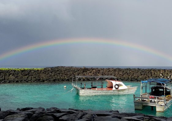 Full rainbow cast over two boats in a harbor.